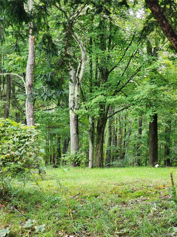 808-812 State Rt 17B Monticello, NY 12701 - Photo 18 of 35 View of landscape