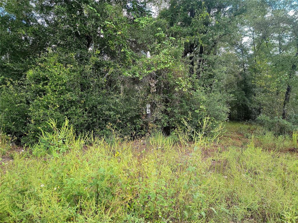 104 Northeast Ne Court Bronson, FL 32621 - Photo 1 of 1