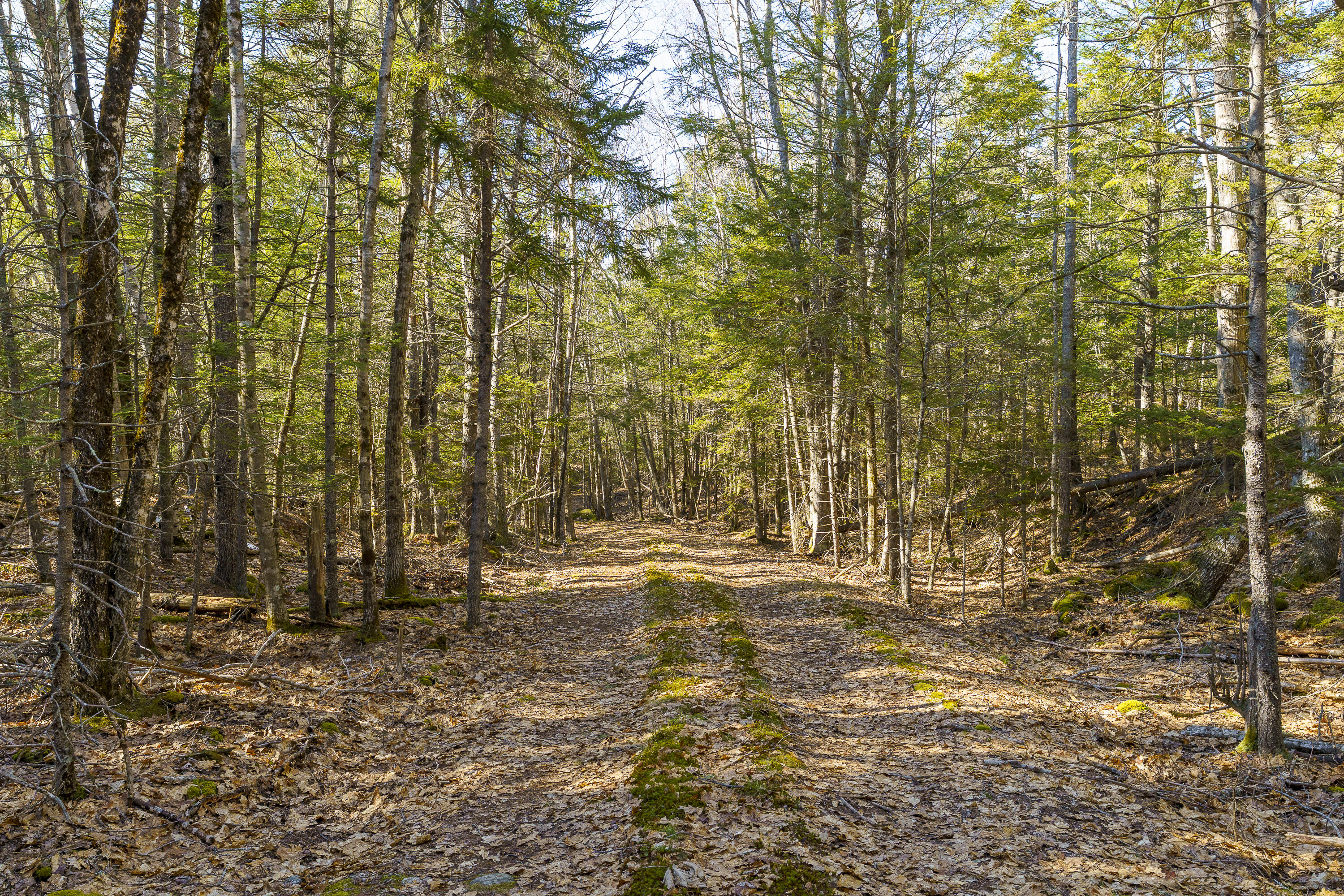 1357 Main Road Westport Island, ME 04578 - Photo 36 of 38