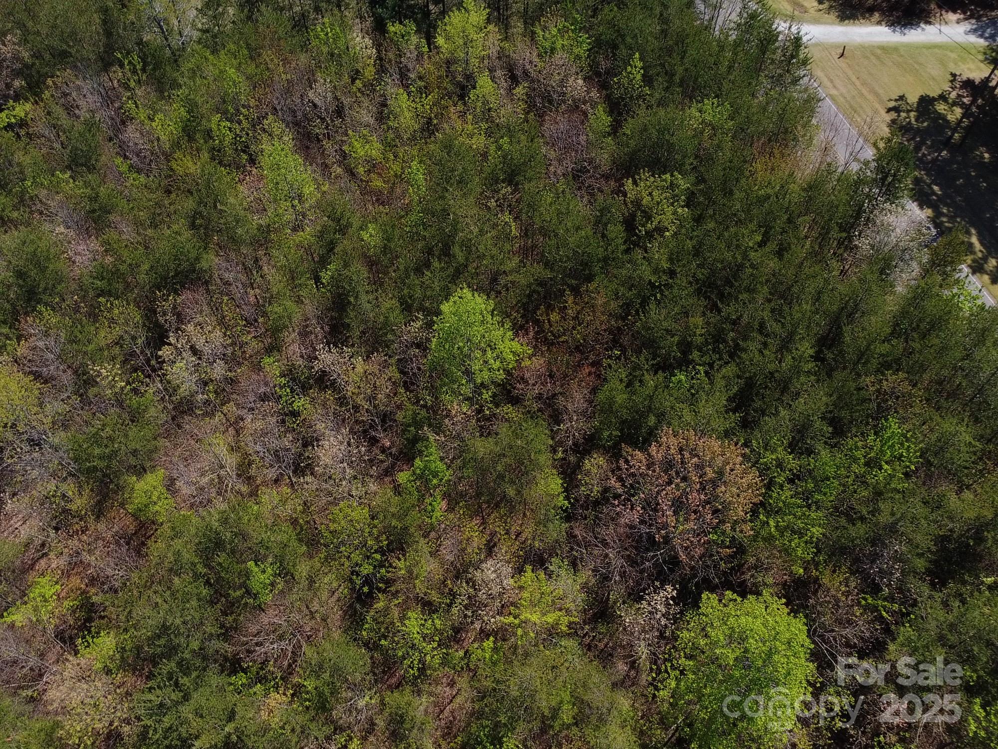 0 Snowhill Church Road Morganton, NC 28655 - Photo 28 of 40