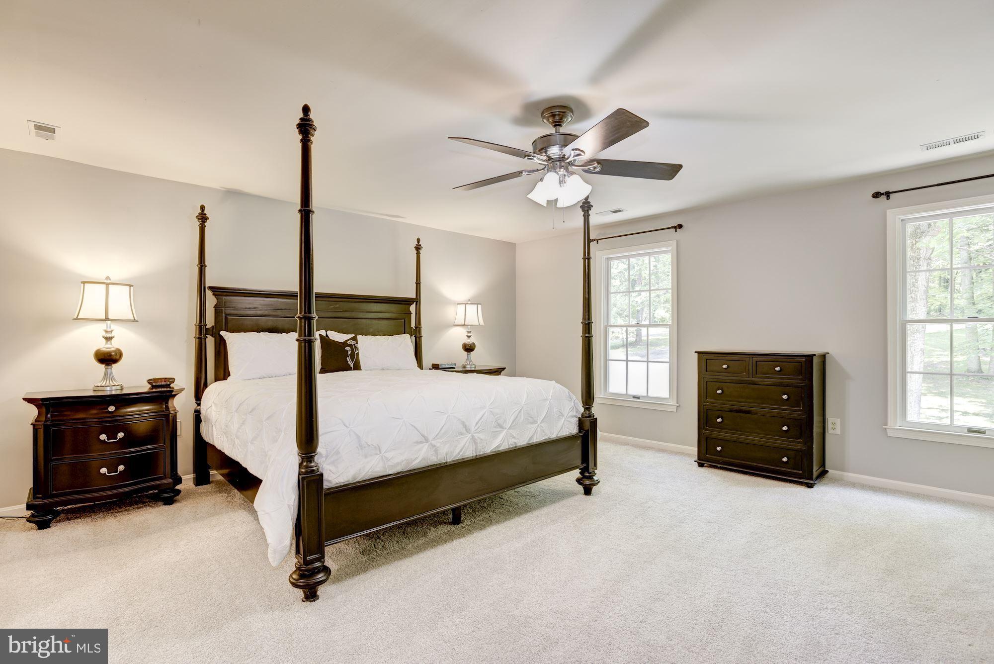 23249 Watson Road Leesburg, VA 20175 - Photo 26 of 51 Master bedroom has new carpet and paint