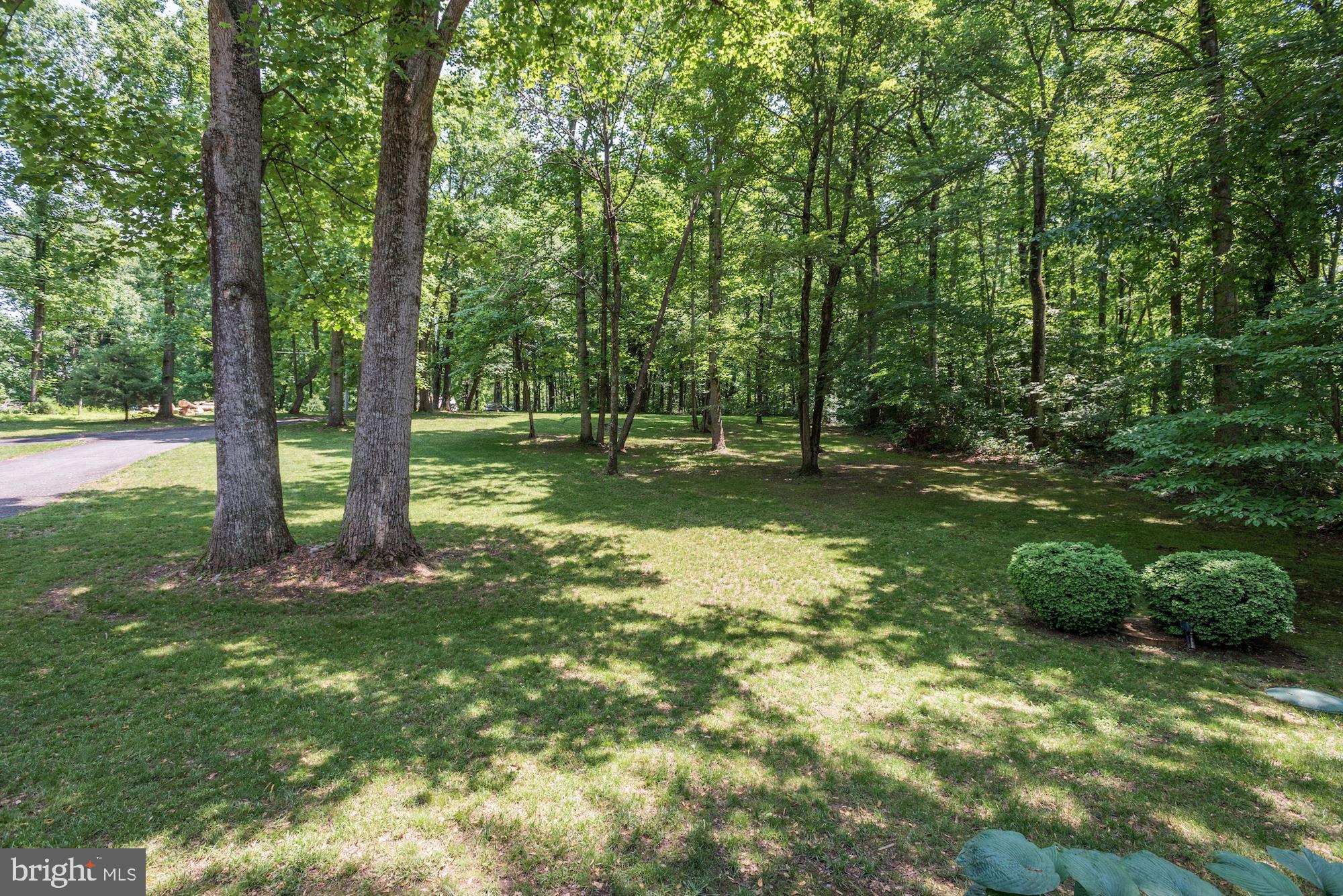 23249 Watson Road Leesburg, VA 20175 - Photo 9 of 51 View from front porch