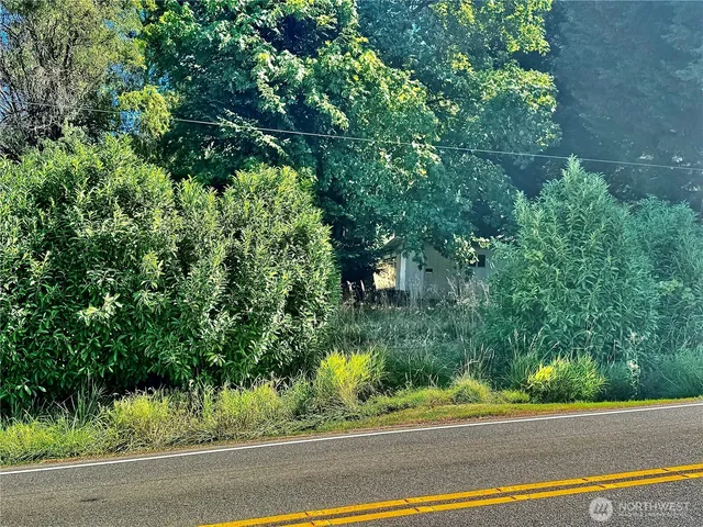 a view of a yard and a fountain
