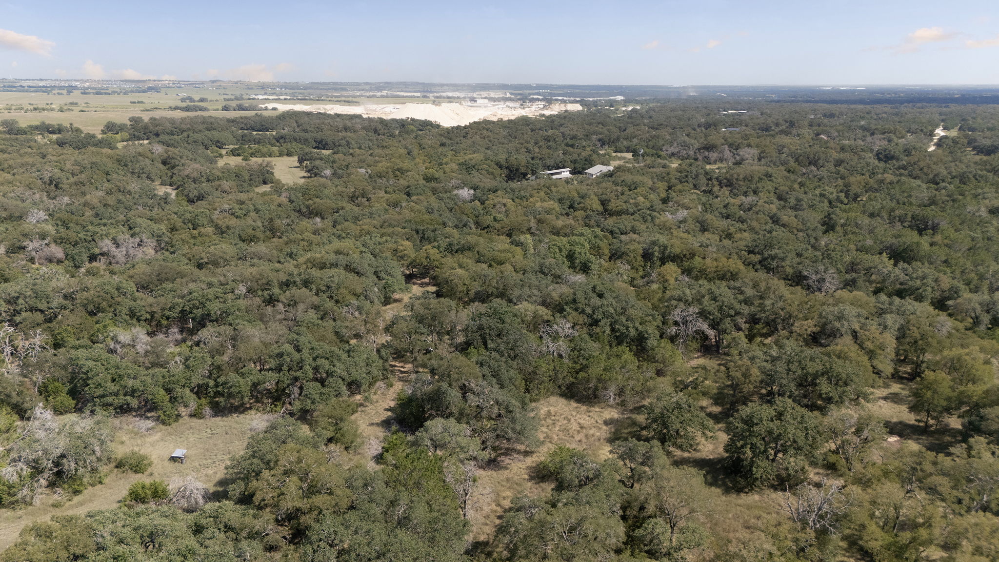 0 Cr 239 Road Georgetown, TX 78633 - Photo 14 of 16 Dense woodlands sweep across this expansive acreage, presenting endless opportunities for future development.