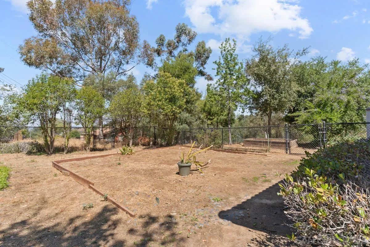 544 Alpine Trail Road Alpine, CA 91901 - Photo 16 of 52 a view of a yard with trees