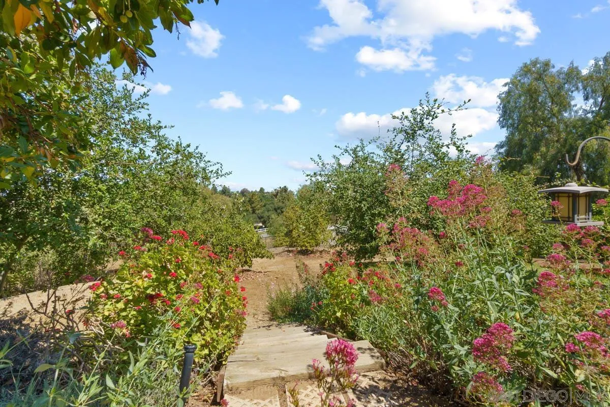 544 Alpine Trail Road Alpine, CA 91901 - Photo 2 of 52 a view of a flower in a garden