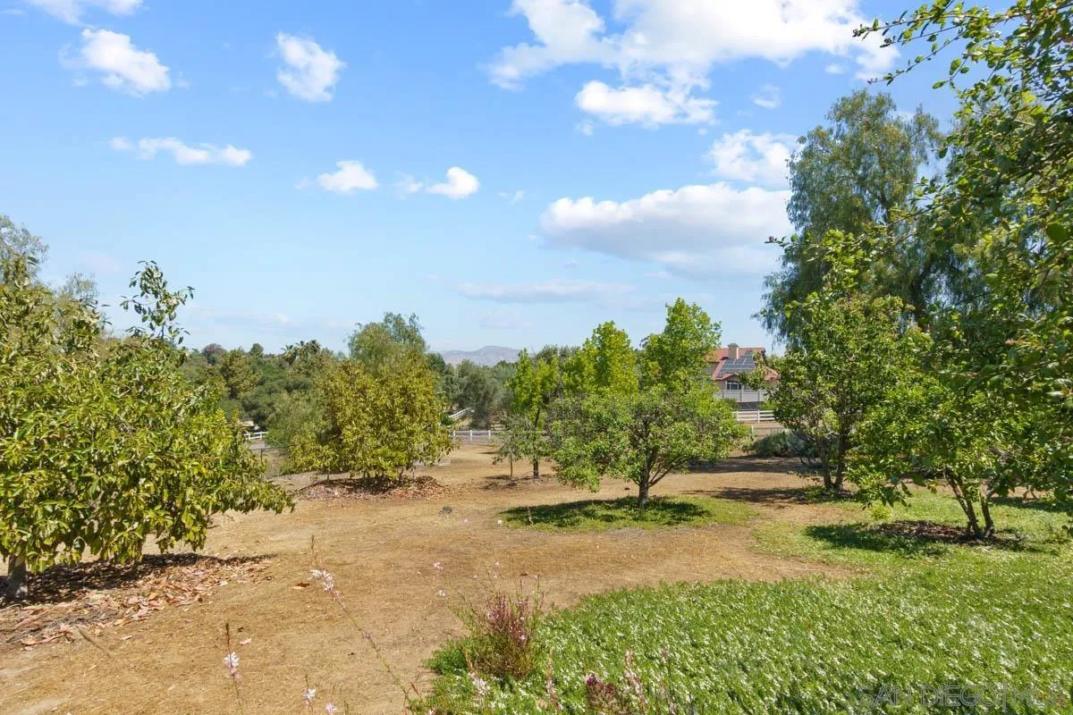 544 Alpine Trail Road Alpine, CA 91901 - Photo 3 of 52 a view of a yard with a tree