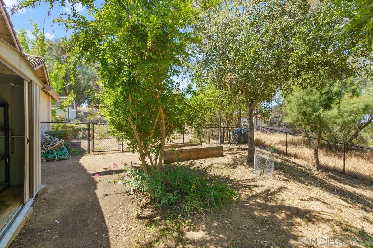 544 Alpine Trail Road Alpine, CA 91901 - Photo 8 of 52 a view of a yard with plants and a bench