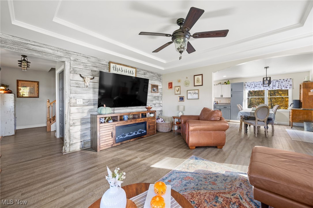 11827 Stratton Road West Salem, OH 44287 - Photo 18 of 47 Living room featuring wood finished floors, a tray ceiling, ceiling fan, and a fireplace
