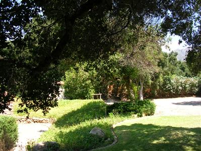 1230 Foothill Road Ojai, CA 93023 - Photo 6 of 7 a view of yard with green space