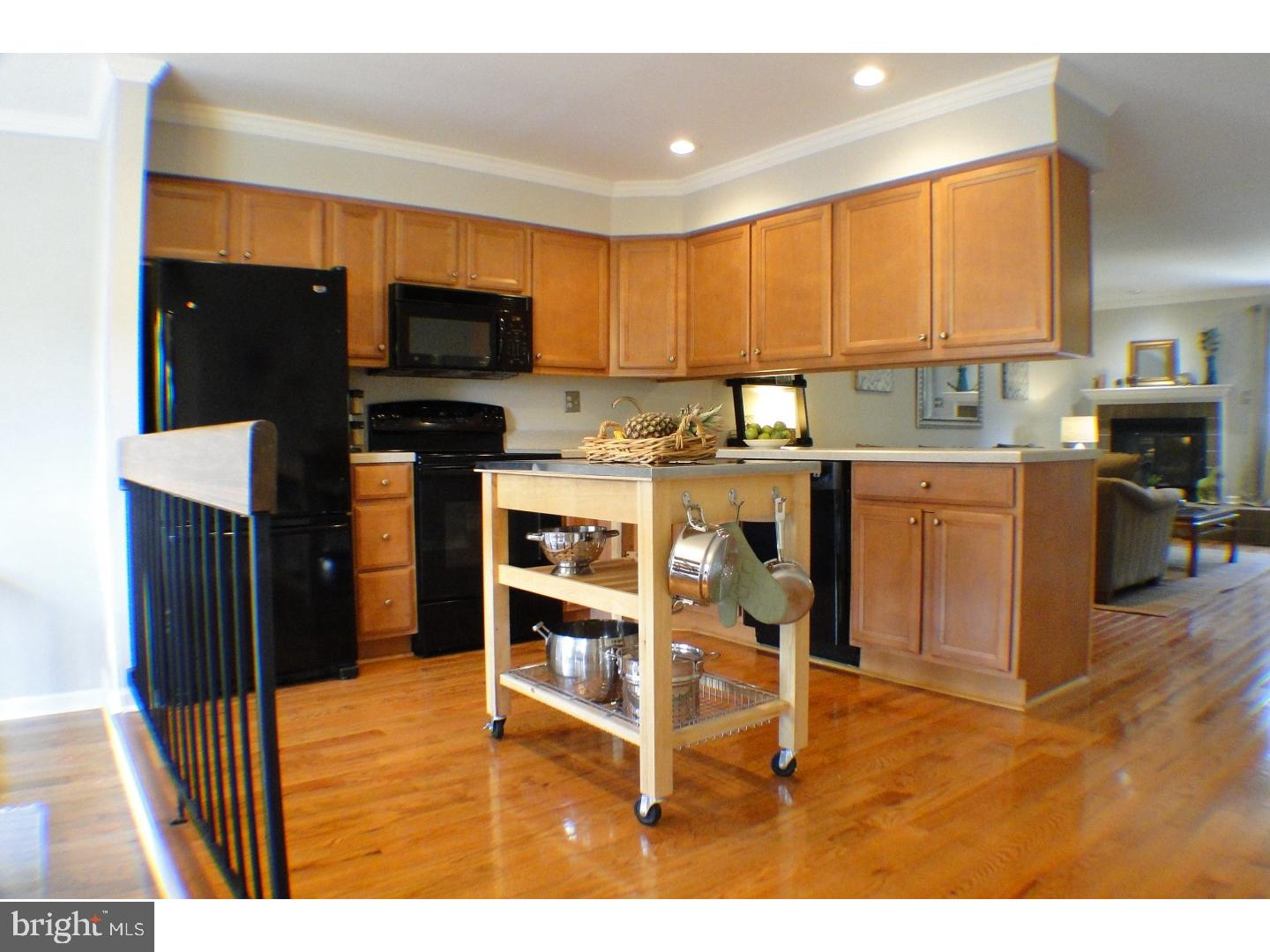 401 Cannon Court Wayne, PA 19087 - Photo 3 of 19 Kitchen