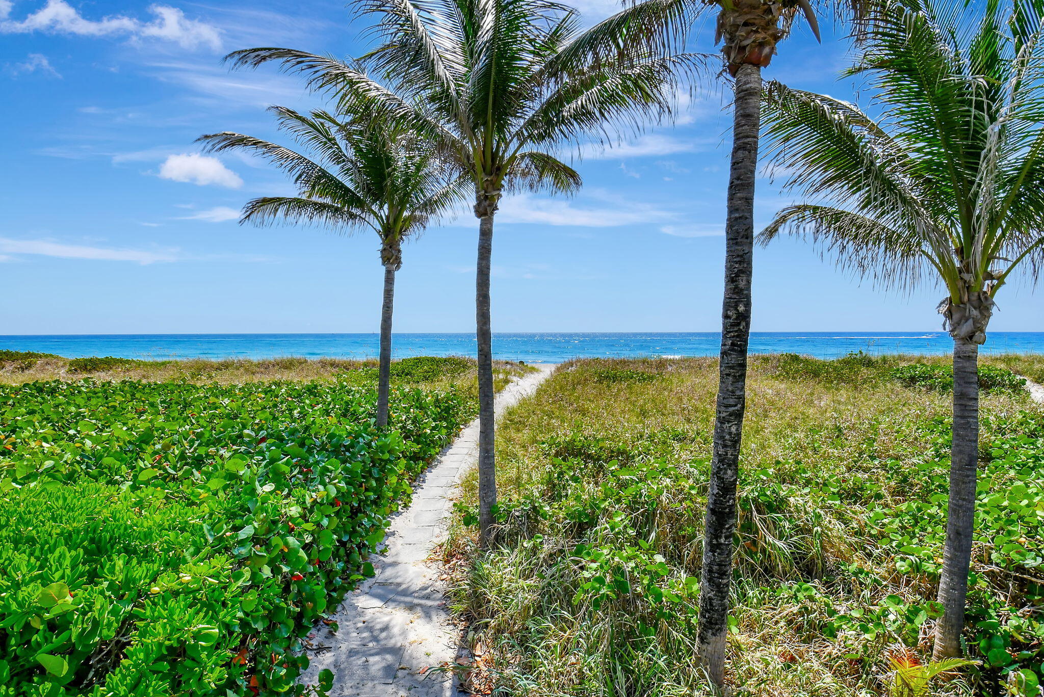 2115 South Ocean Boulevard, Unit 14 Delray Beach, FL 33483 - Photo 40 of 56 a view of ocean view
