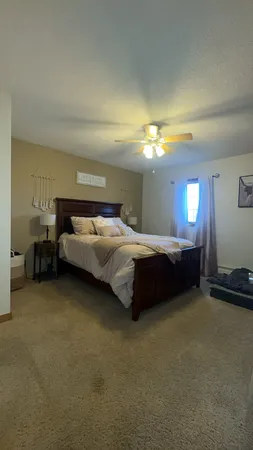 a room with furniture and a potted plant