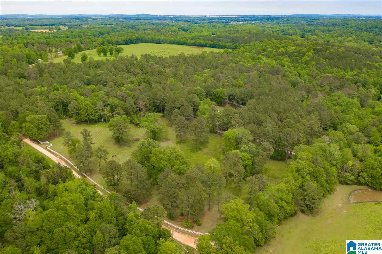 1239 Alex Mill Road Montevallo, AL 35115 - Photo 47 of 50
