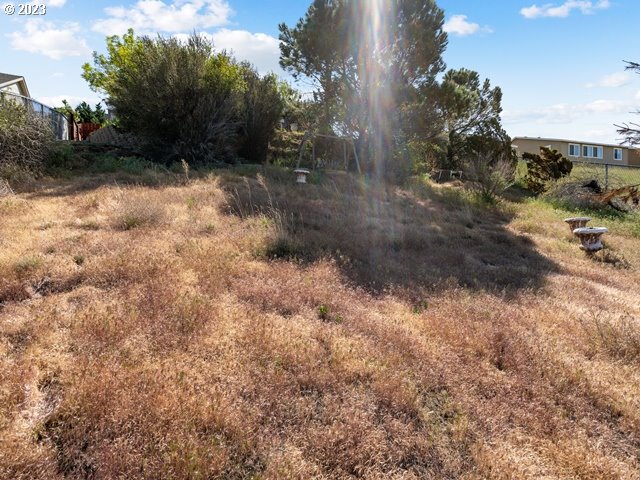2488 Pheasant Ridge Street Umatilla, OR 97882 - Photo 31 of 40 a view of a yard with trees in front of it