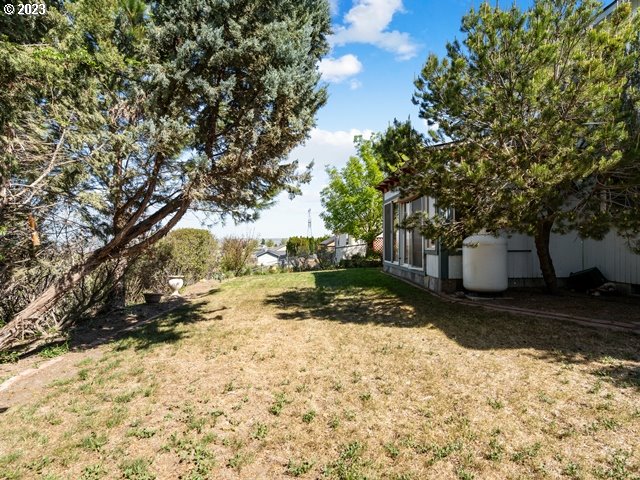 2488 Pheasant Ridge Street Umatilla, OR 97882 - Photo 32 of 40 a view of a yard with a tree