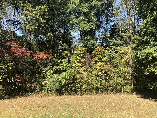 a view of large yard