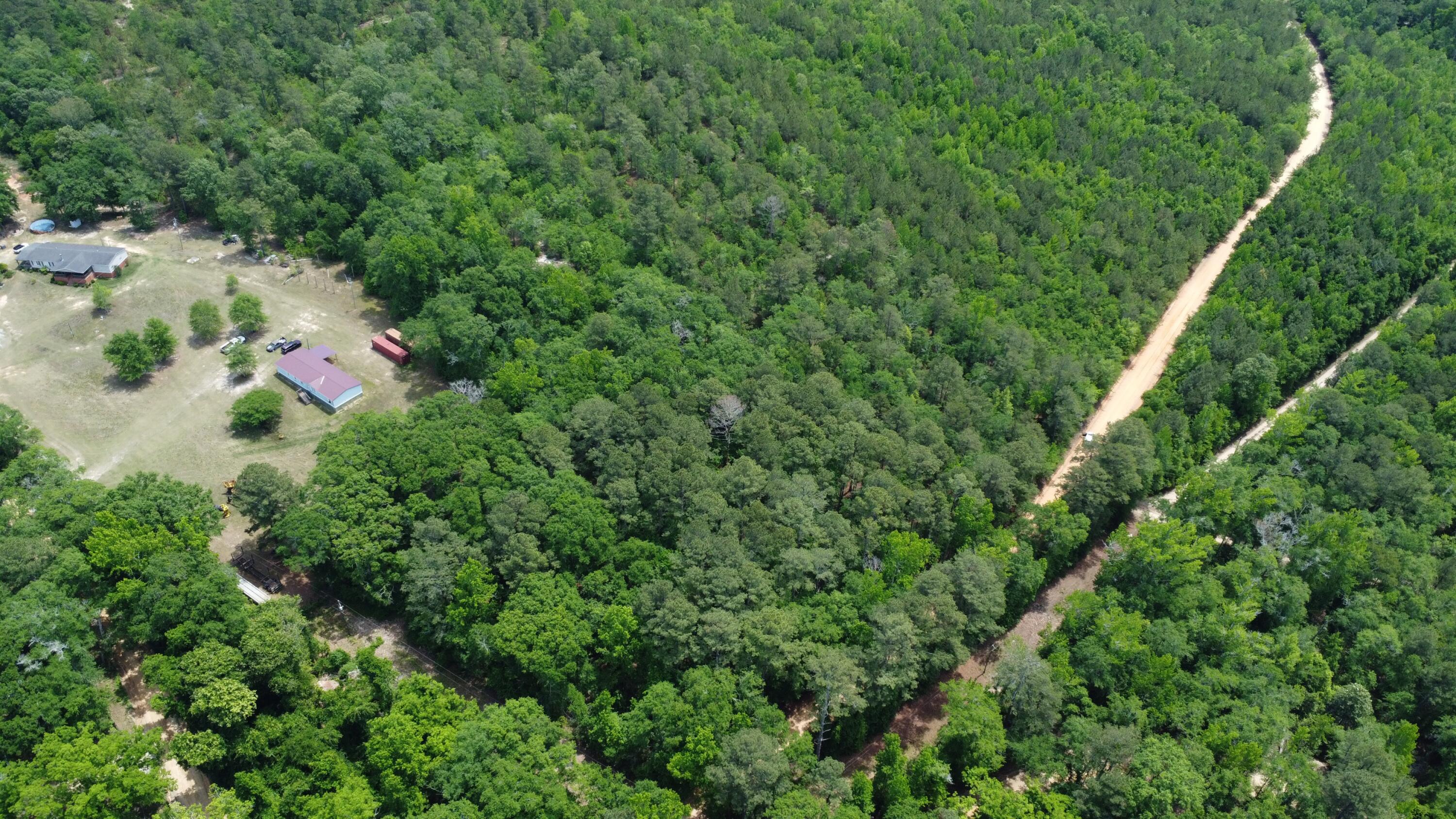 1091 Pine Grove Road Leesville, SC 29070 - Photo 12 of 12 Gallery Image 12