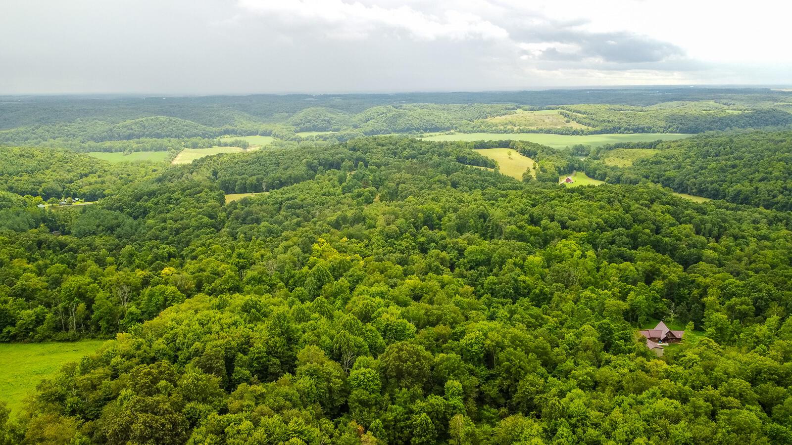 29739 Chestnut Ridge Road Danville, OH 43014 - Photo 50 of 57 29739 Chestnut Ridge-45