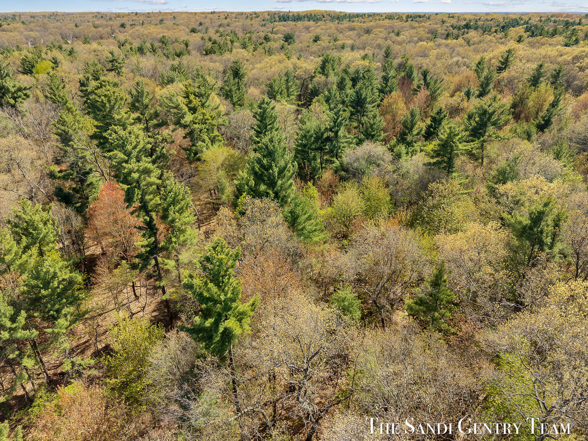 Whitehall Road Whitehall, MI 49461 - Photo 8 of 13 DJI_20260514163348_0358_D_KYLE