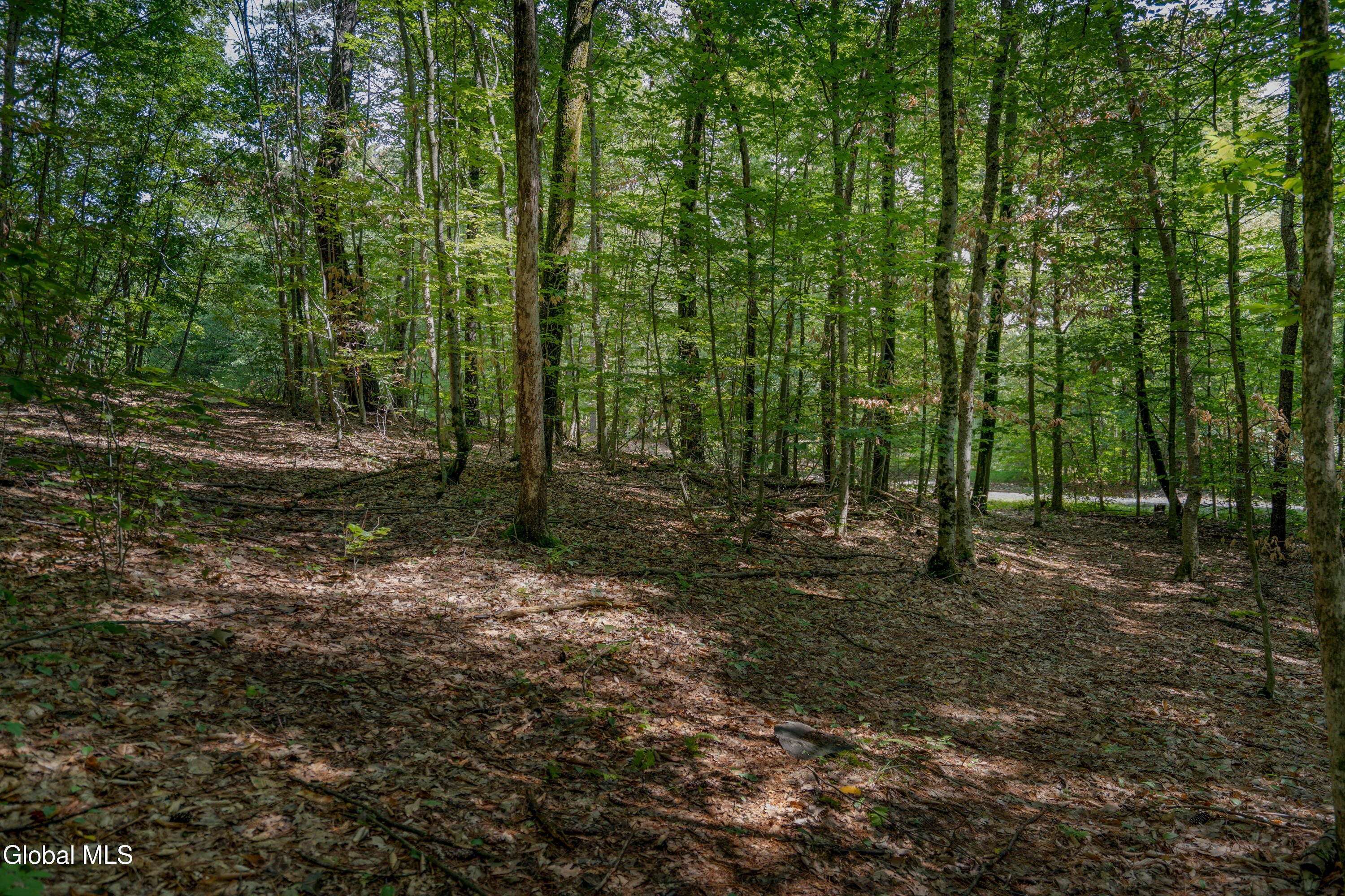 L13.5 Kilmer Road Argyle, NY 12809 - Photo 8 of 32 _DSC7010-Edit