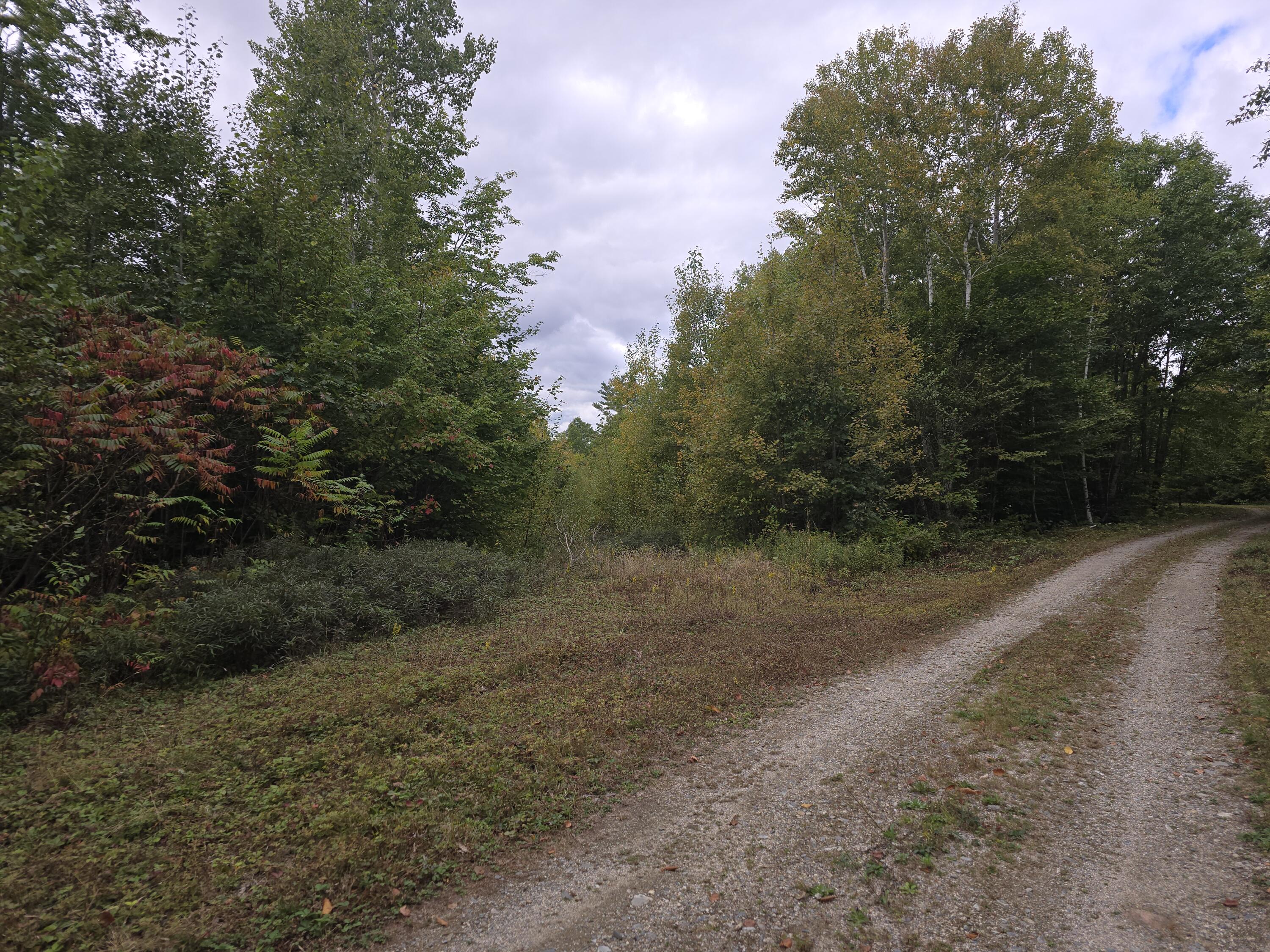 Lot 35 Lot Road Deblois, ME 04622 - Photo 7 of 8 20240927_133522