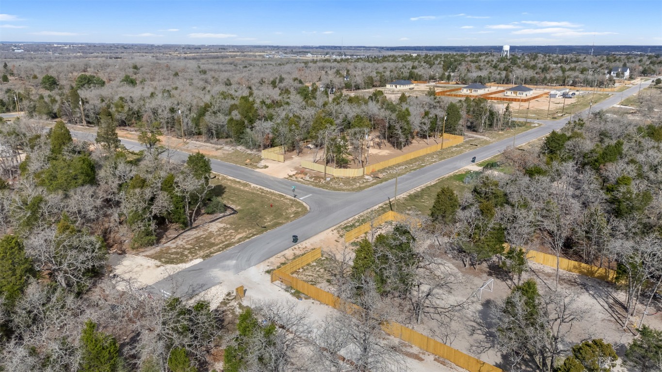 362 La Selva Drive Elgin, TX 78621 - Photo 2 of 5 Aerial view