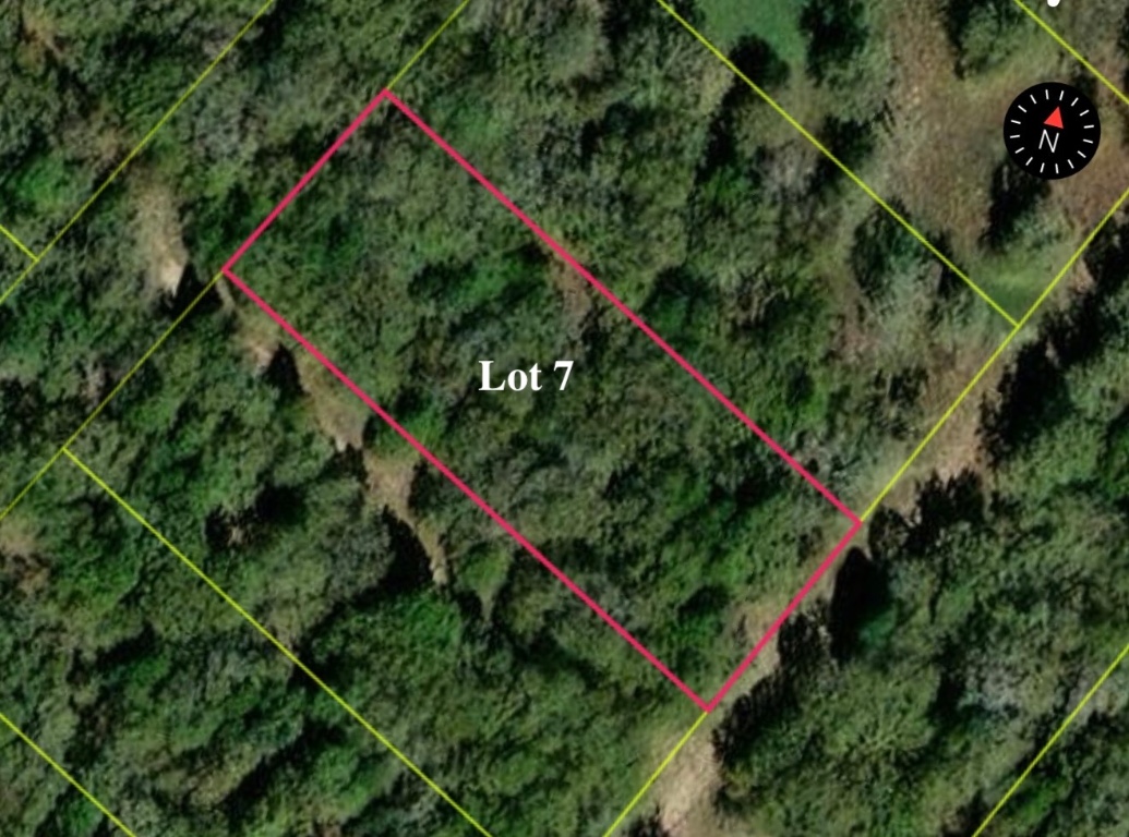 362 La Selva Drive Elgin, TX 78621 - Photo 5 of 5 Aerial map of property and surrounding area with property parcel outlined