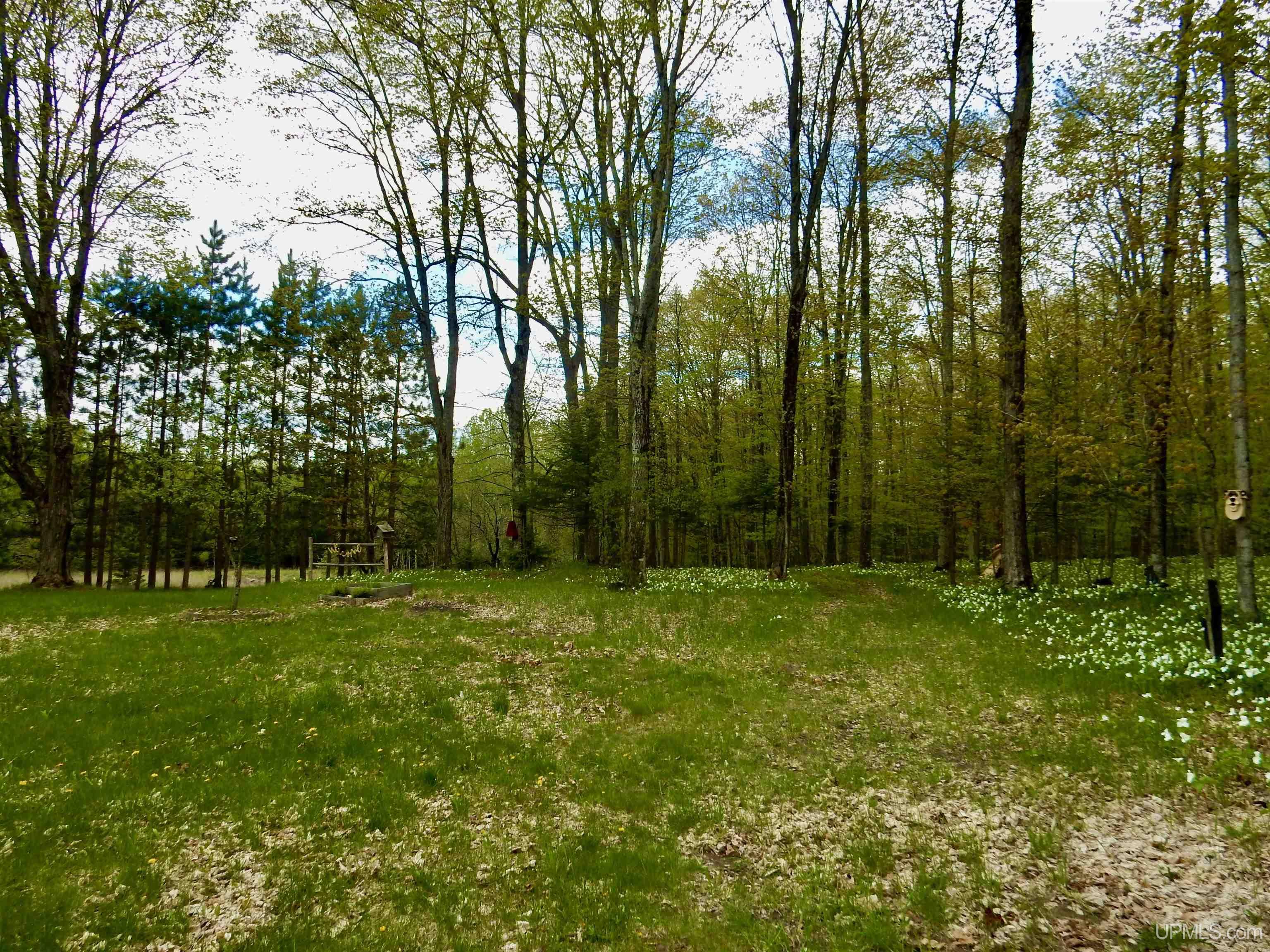 8950 Wolfe Road Germfask, MI 49836 - Photo 23 of 58 Gallery Image 23