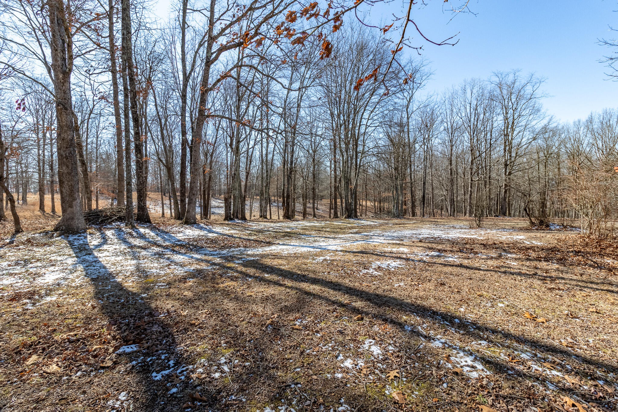 1844 Hobbstown Road Dunlap, TN 37327 - Photo 62 of 81 Gallery Image 62