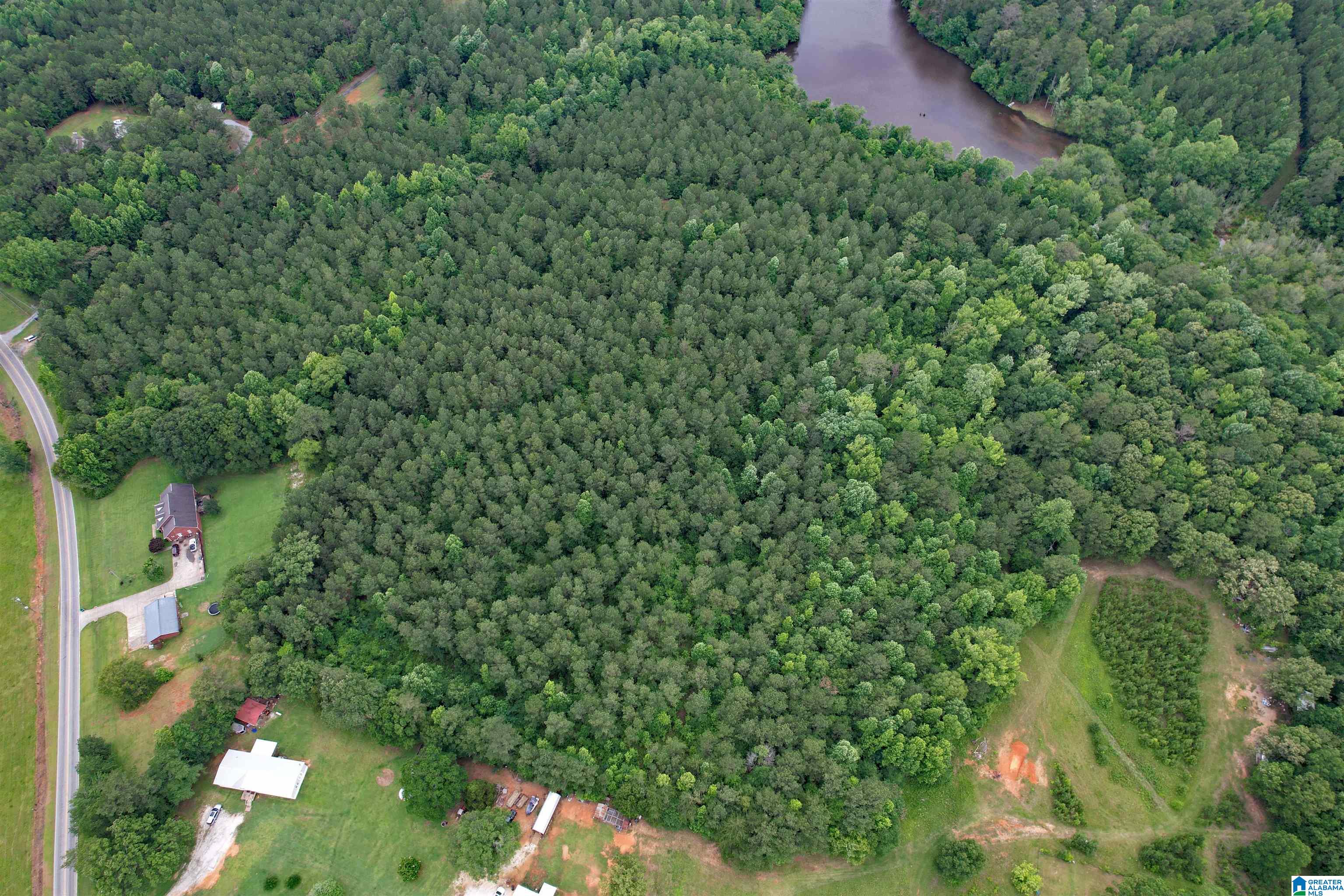 0 Houston Road Sylacauga, AL 35151 - Photo 13 of 32