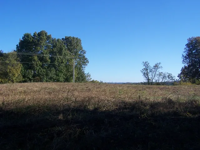 a view of lake from yard