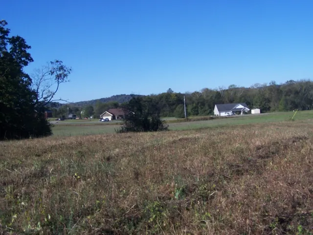 a view of dirt field with trees in background