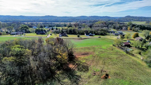 a view of a lush green outdoor space with trees all around