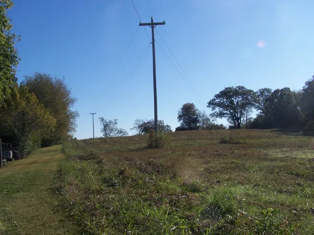 a view of a field with a tree in the background