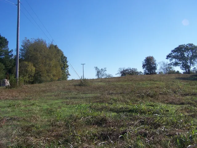 a view of a field of grass and trees