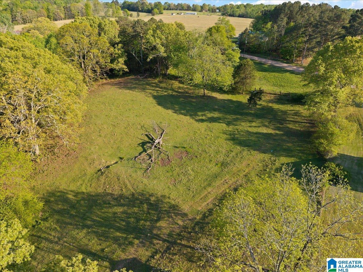 1347 Hamm Road Blountsville, AL 35031 - Photo 11 of 39