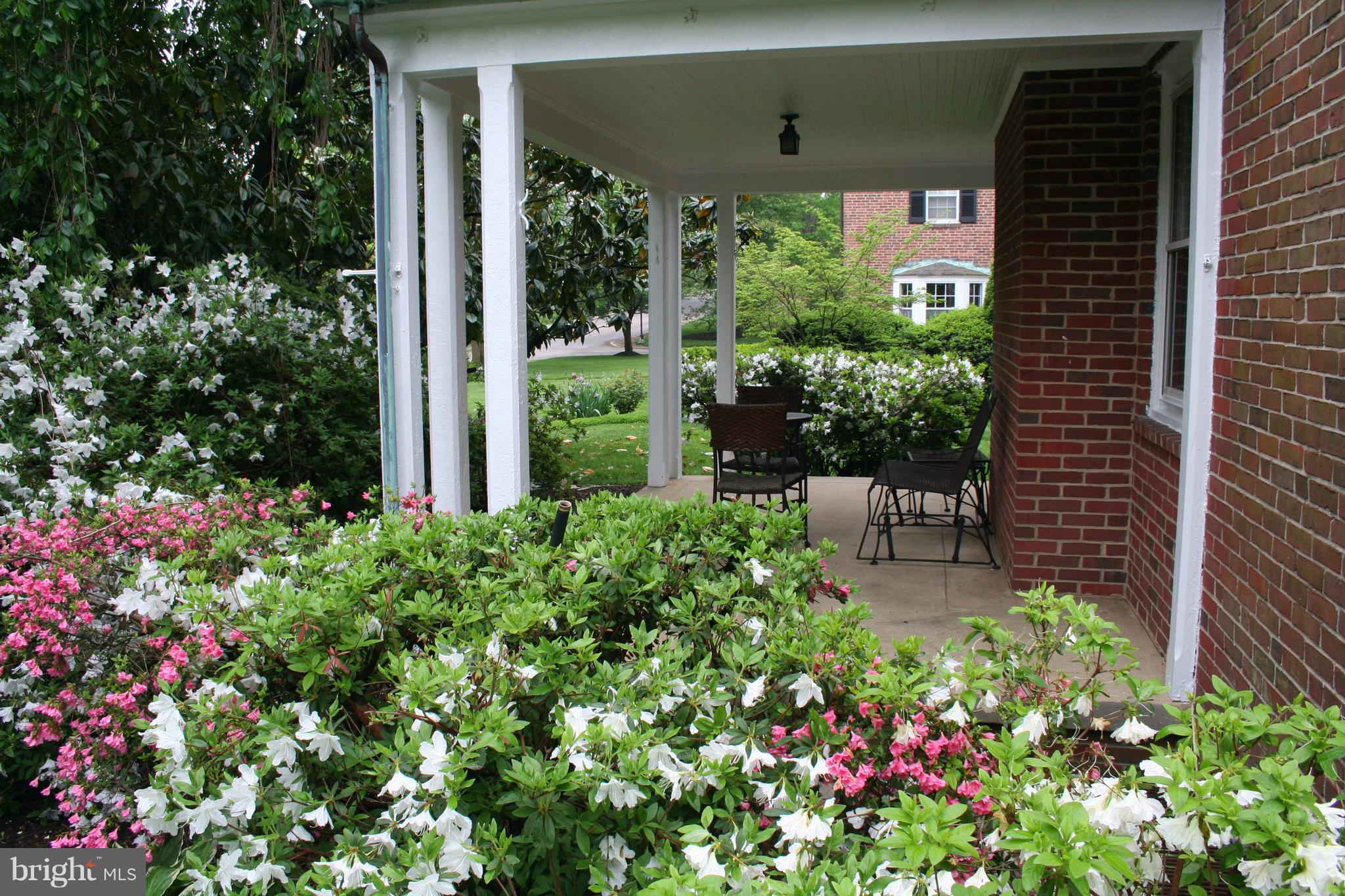 115 Enfield Road Baltimore, MD 21212 - Photo 3 of 37 Side porch in the spring