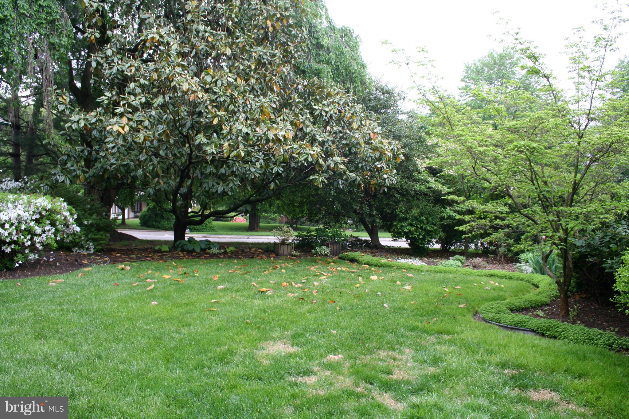 115 Enfield Road Baltimore, MD 21212 - Photo 36 of 37 Spacious & pretty side yard