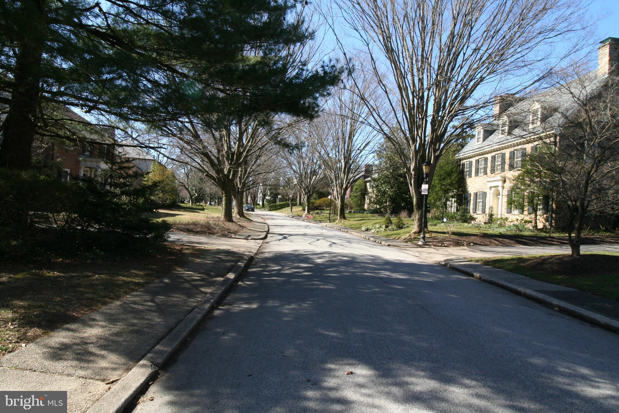 115 Enfield Road Baltimore, MD 21212 - Photo 37 of 37 Enfield Road view