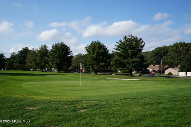 a green field with trees in the background