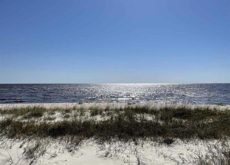 424 Bald Point Road Alligator Point, FL 32346 - Photo 14 of 16