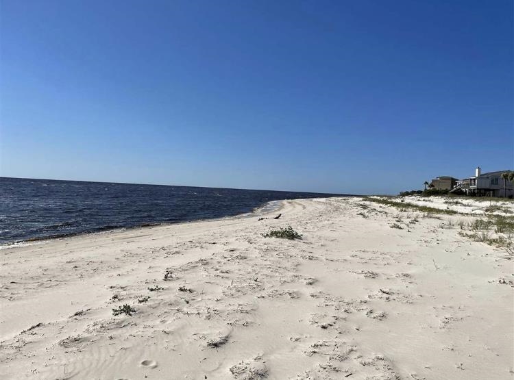 424 Bald Point Road Alligator Point, FL 32346 - Photo 9 of 16