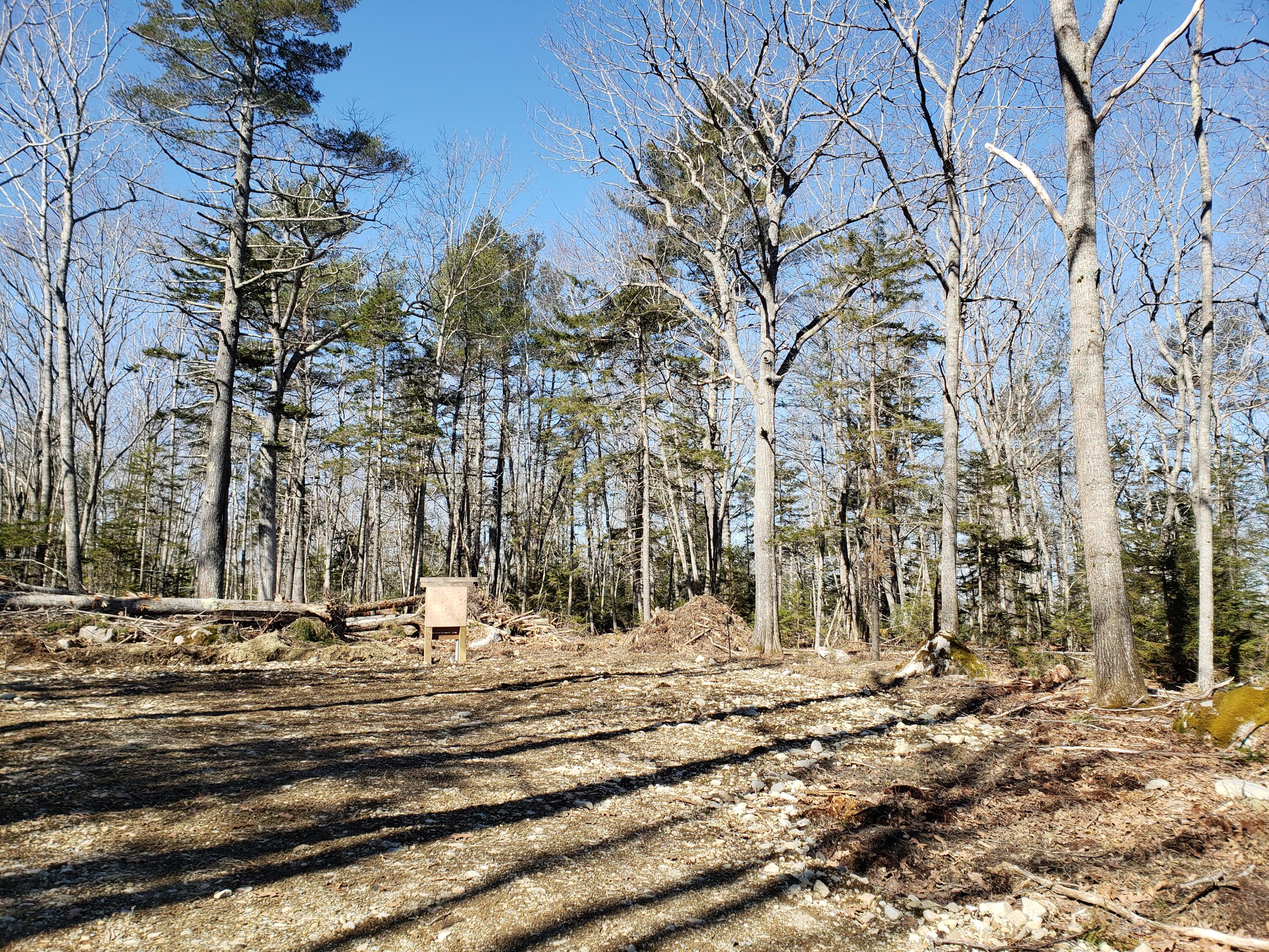 823 Castine Road Orland, ME 04472 - Photo 11 of 25 20220330_102203
