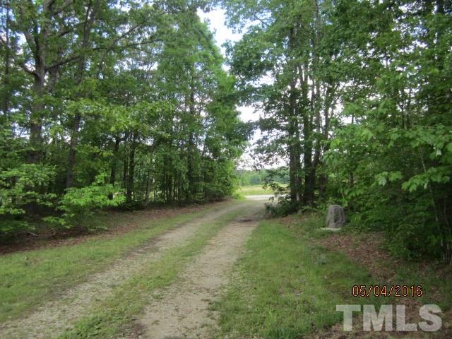 1492 Glenn Fogleman Road Rougemont, NC 27572 - Photo 5 of 24 a view of a forest with trees in the background