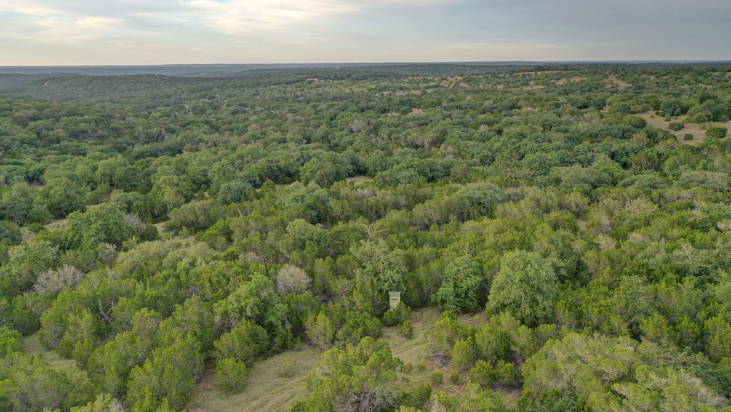 438 Yellowstone Lane Hunt, TX 78024 - Photo 41 of 47