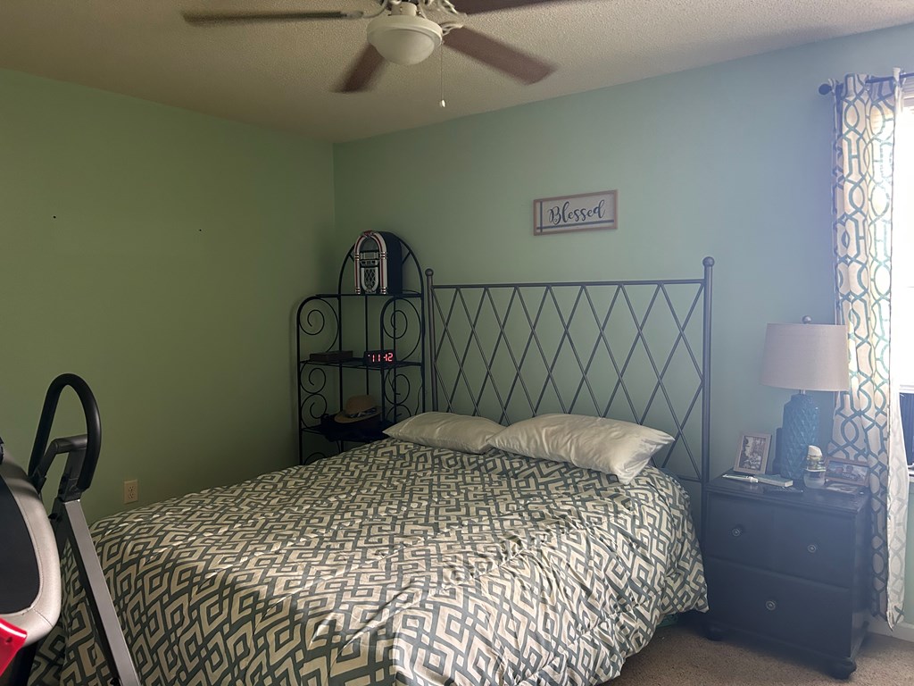 1570 McDaniel Road Ashford, AL 36312 - Photo 8 of 17