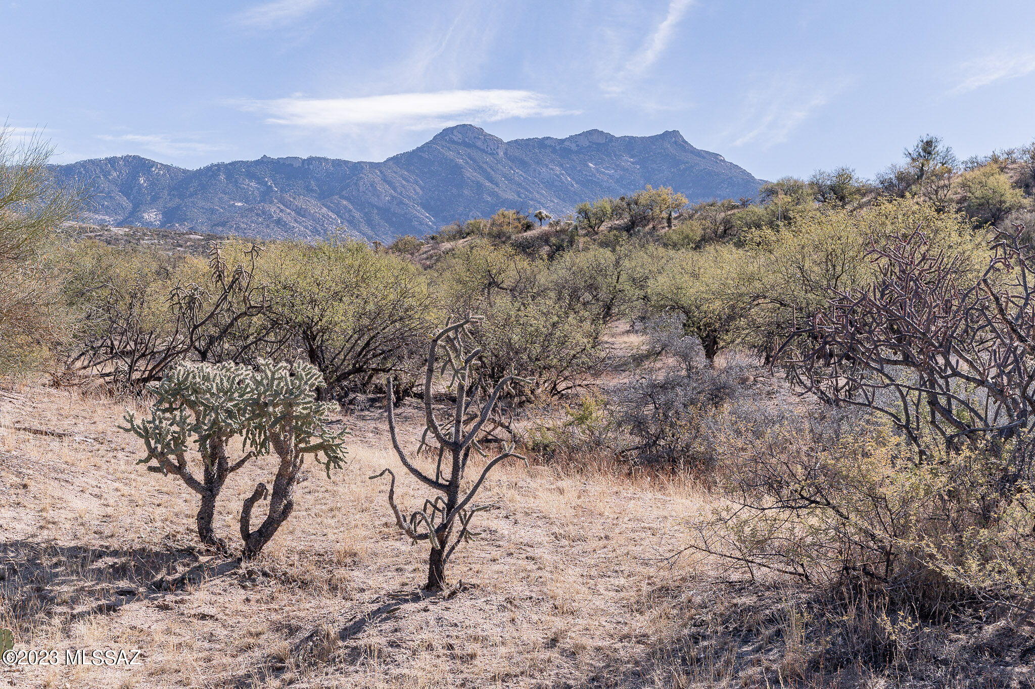 5800 East Edwin Road Tucson, AZ 85739 - Photo 33 of 33 Gallery Image 33