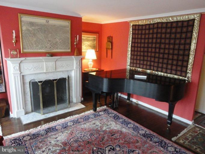 1112 D Street Southeast, Unit 1 Washington, DC 20003 - Photo 18 of 30 Fireplace