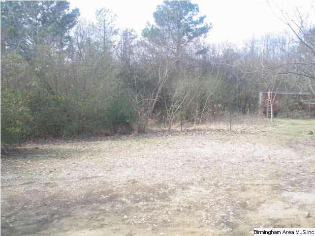 4625 Highway 24 Springville Al Springville, AL 35146 - Photo 24 of 29